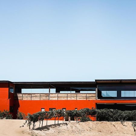 Villa Montefiori Valle de Guadalupe Bagian luar foto