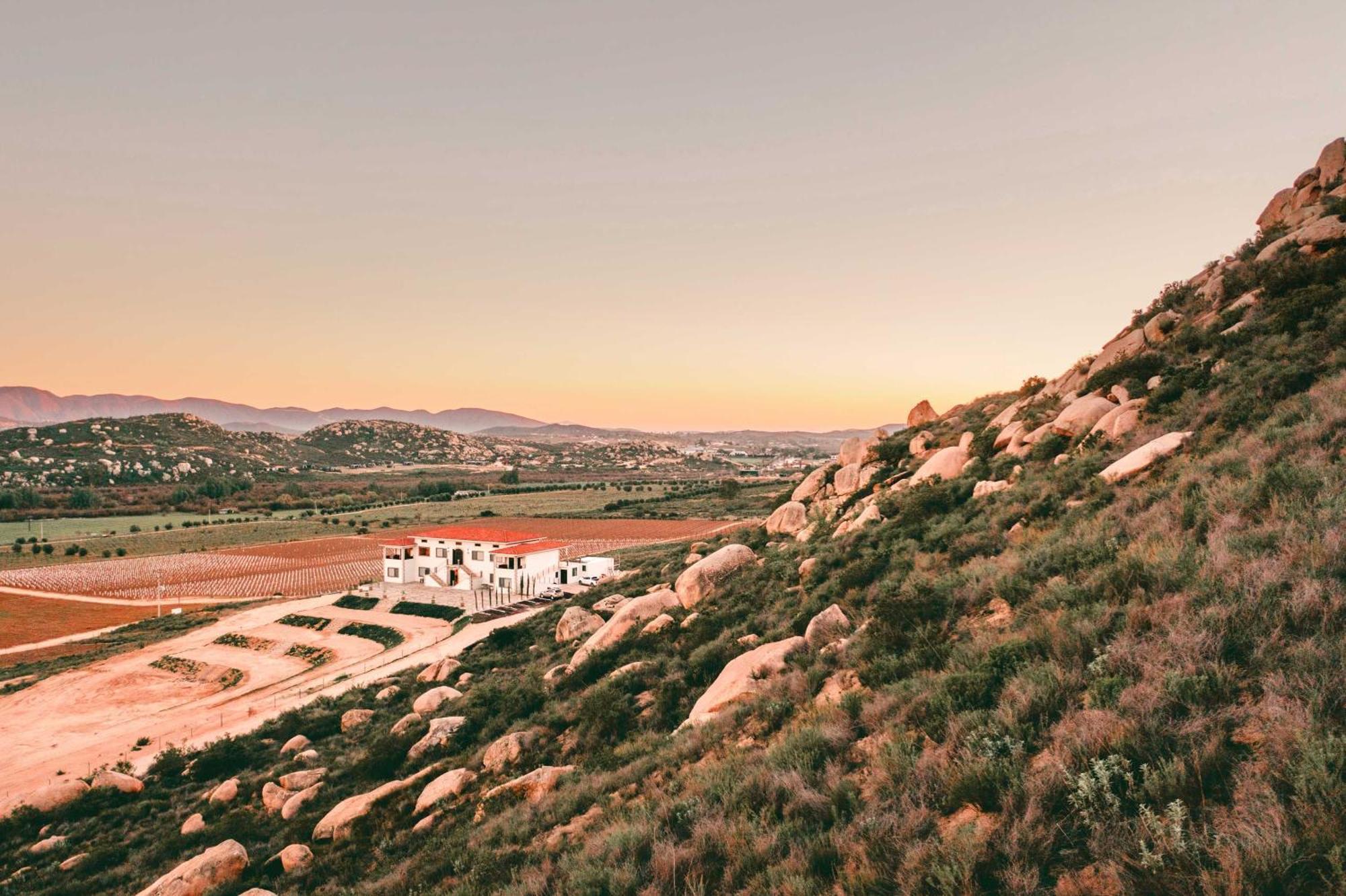 Villa Montefiori Valle de Guadalupe Bagian luar foto