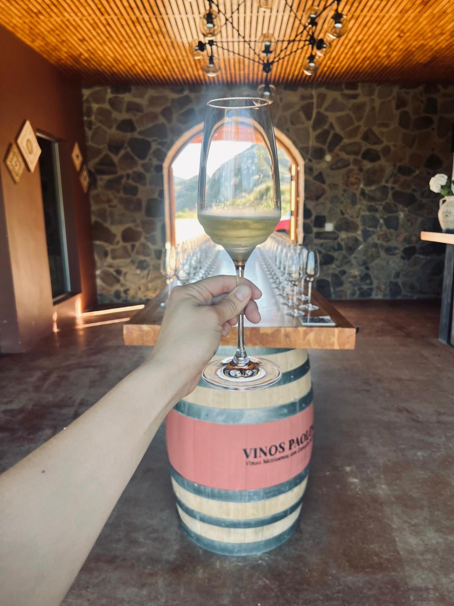 Villa Montefiori Valle de Guadalupe Bagian luar foto